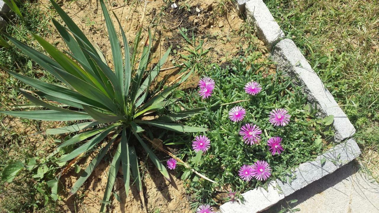 Nina Villa Rab Town Dış mekan fotoğraf
